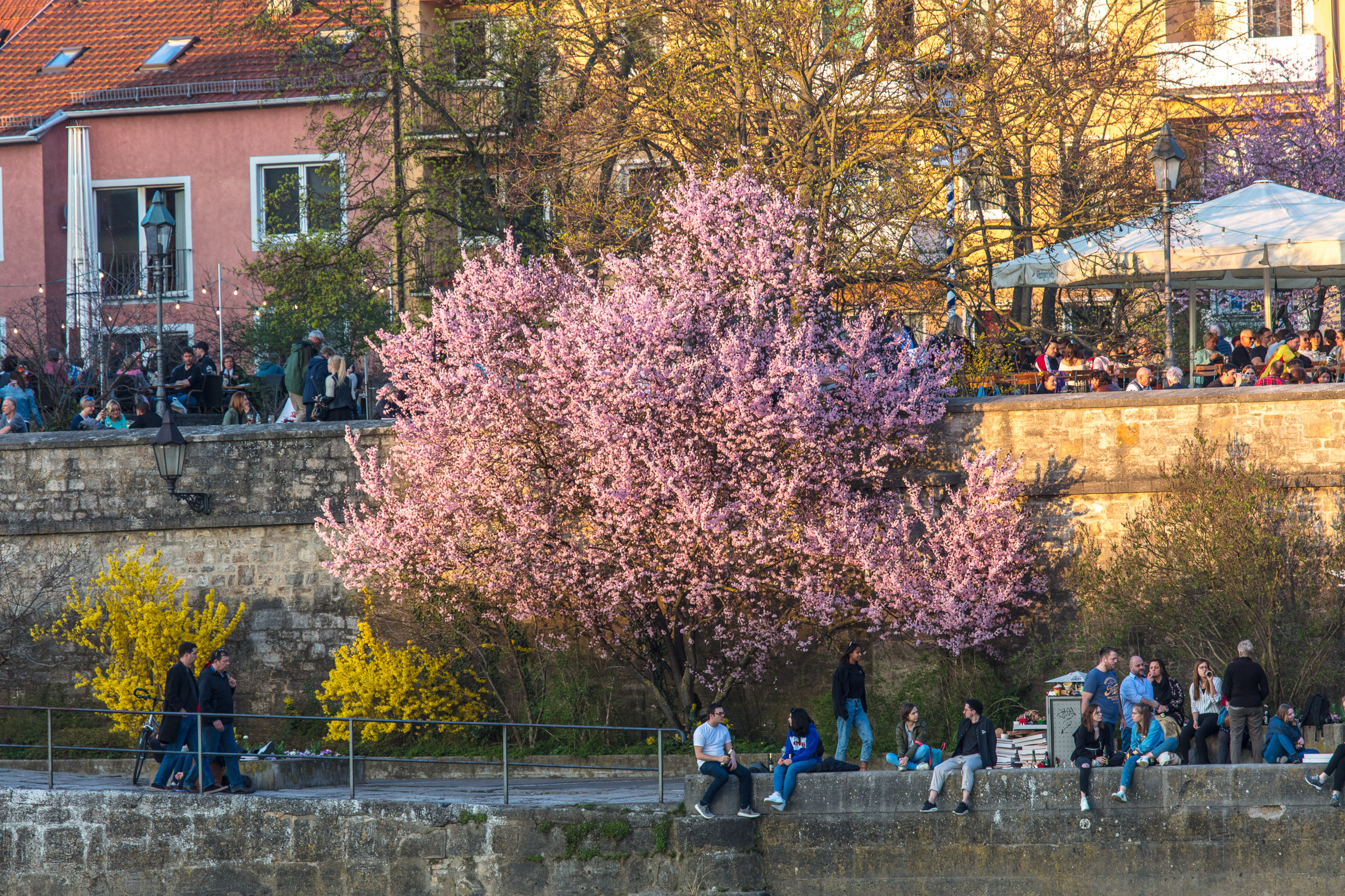 20190330181715 DP010283